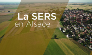Rencontre avec la Collectivité Européenne d’Alsace